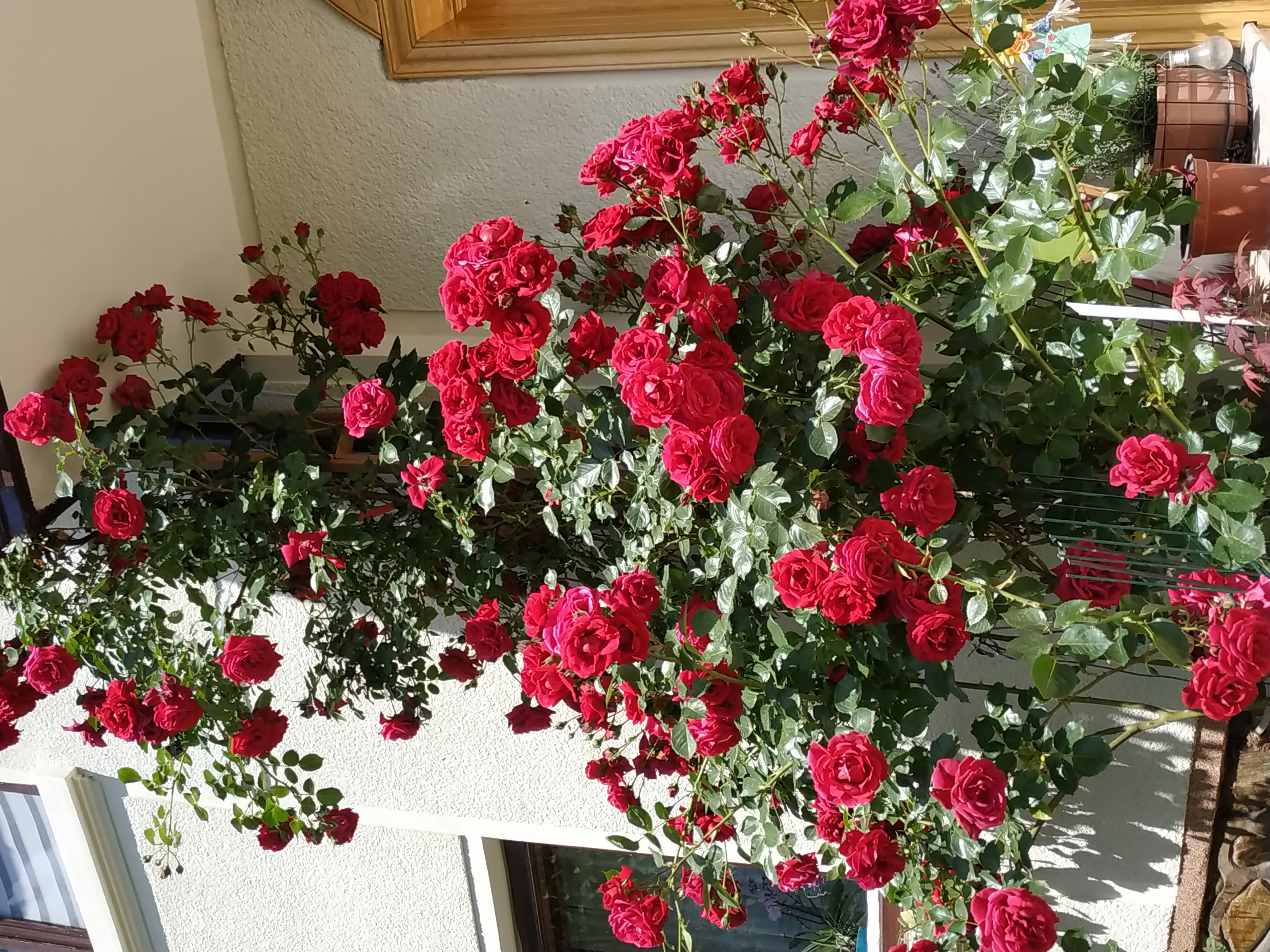 A descriptive alt text for the image